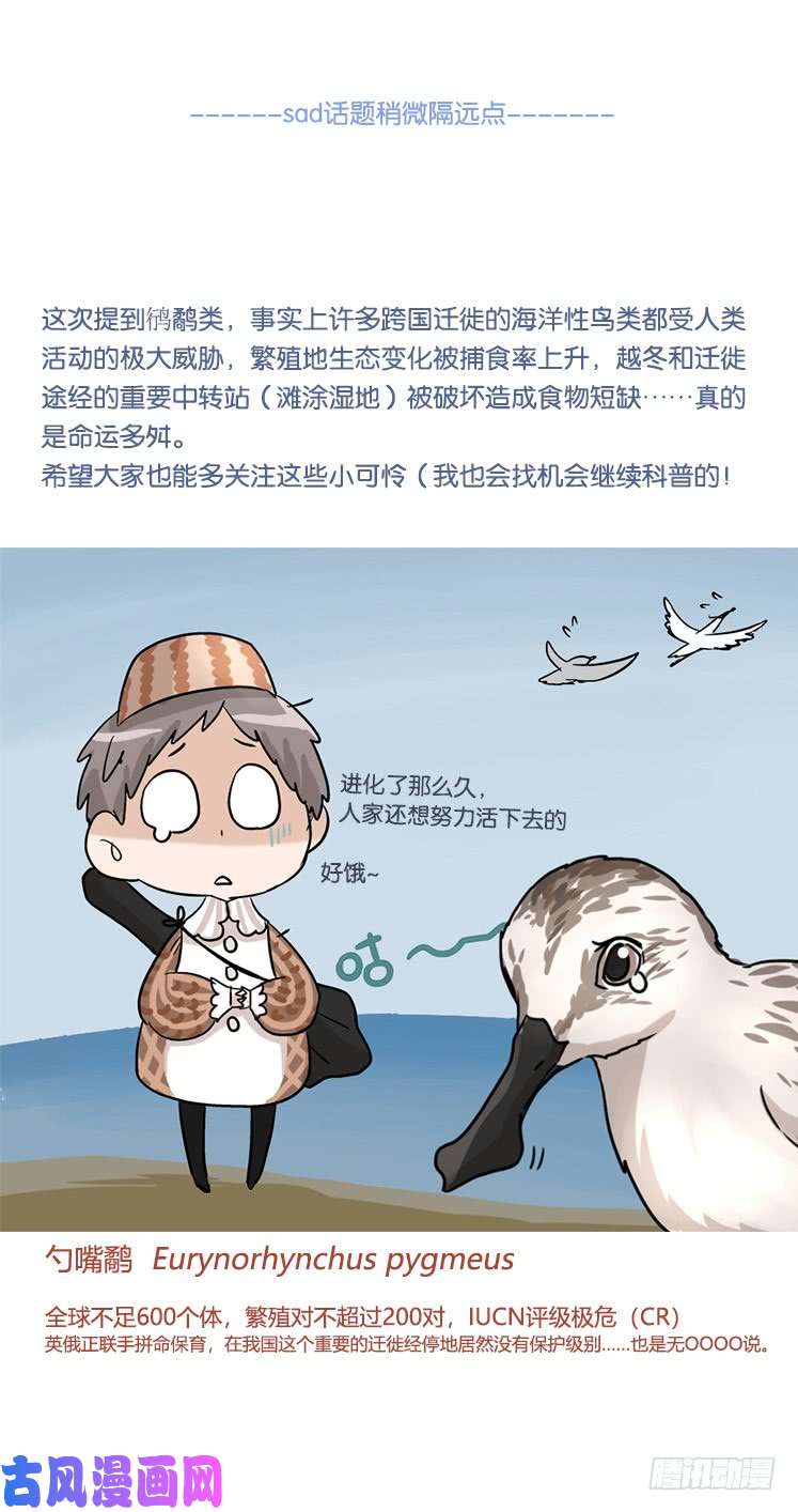进化之基圣诞番外：特别礼物