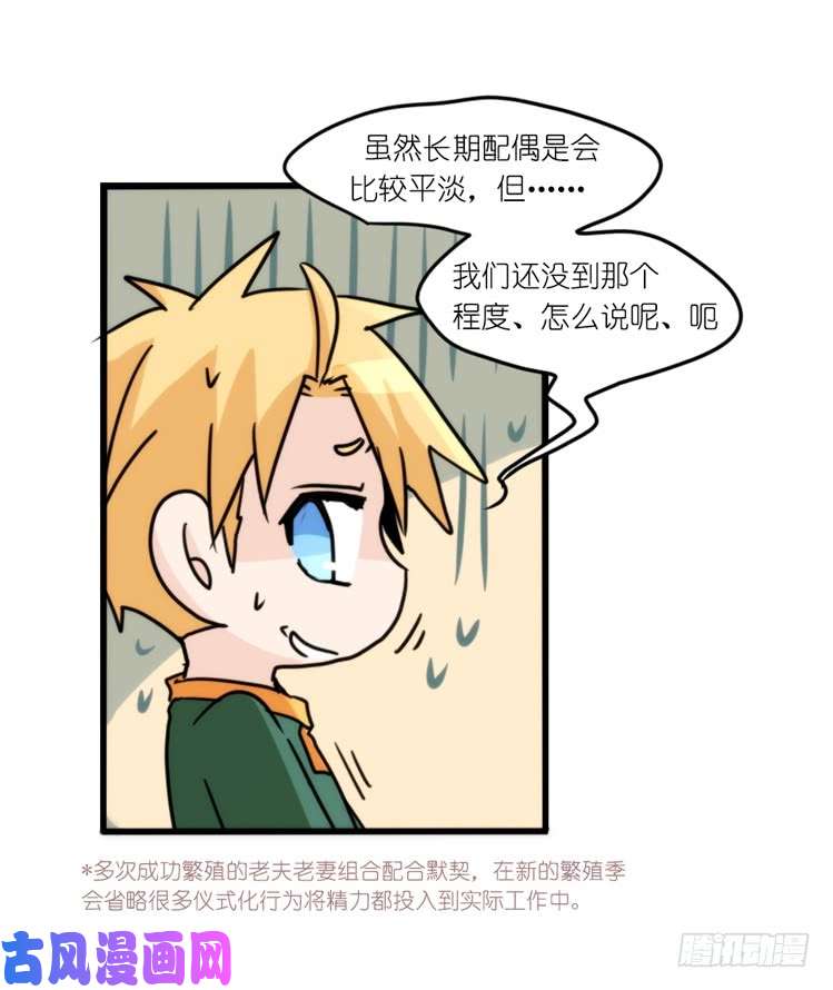 进化之基圣诞番外：特别礼物