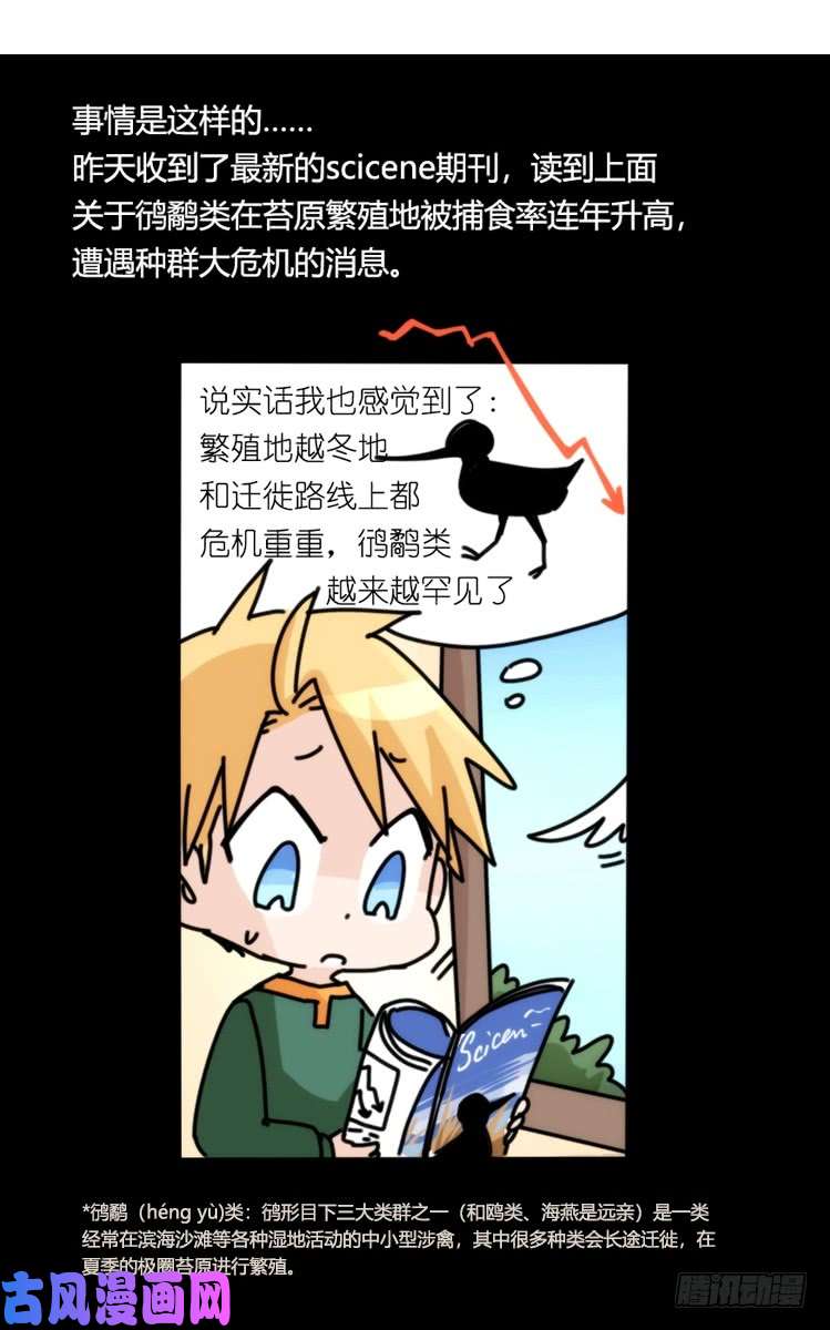 进化之基圣诞番外：特别礼物