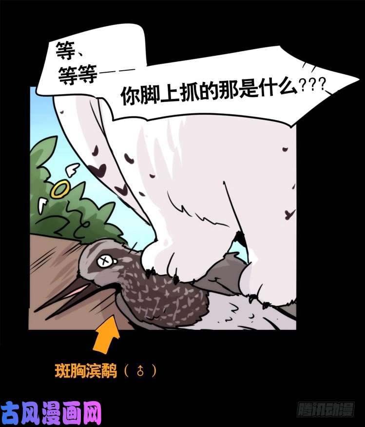 进化之基圣诞番外：特别礼物