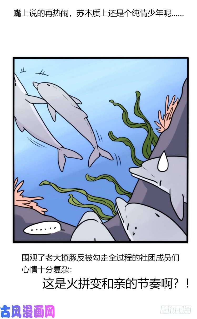 进化之基海洋精灵：重逢的正确姿♂势