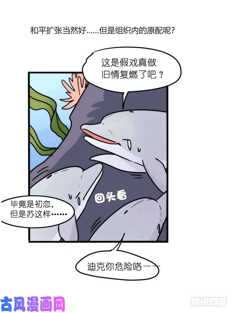 进化之基海洋精灵：重逢的正确姿♂势