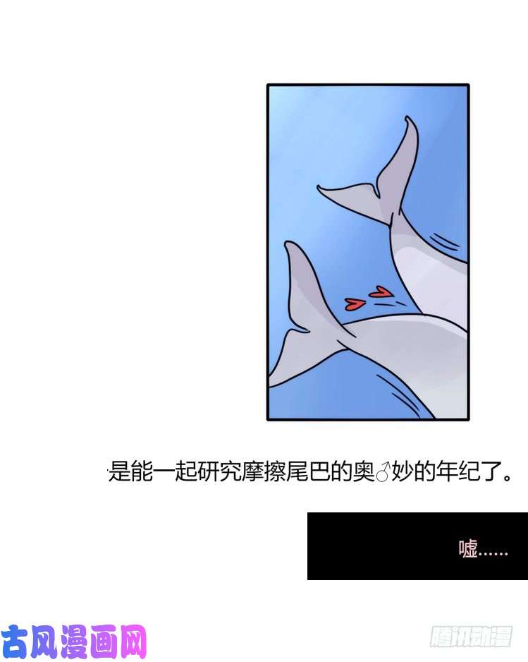 进化之基海洋精灵：重逢的正确姿♂势