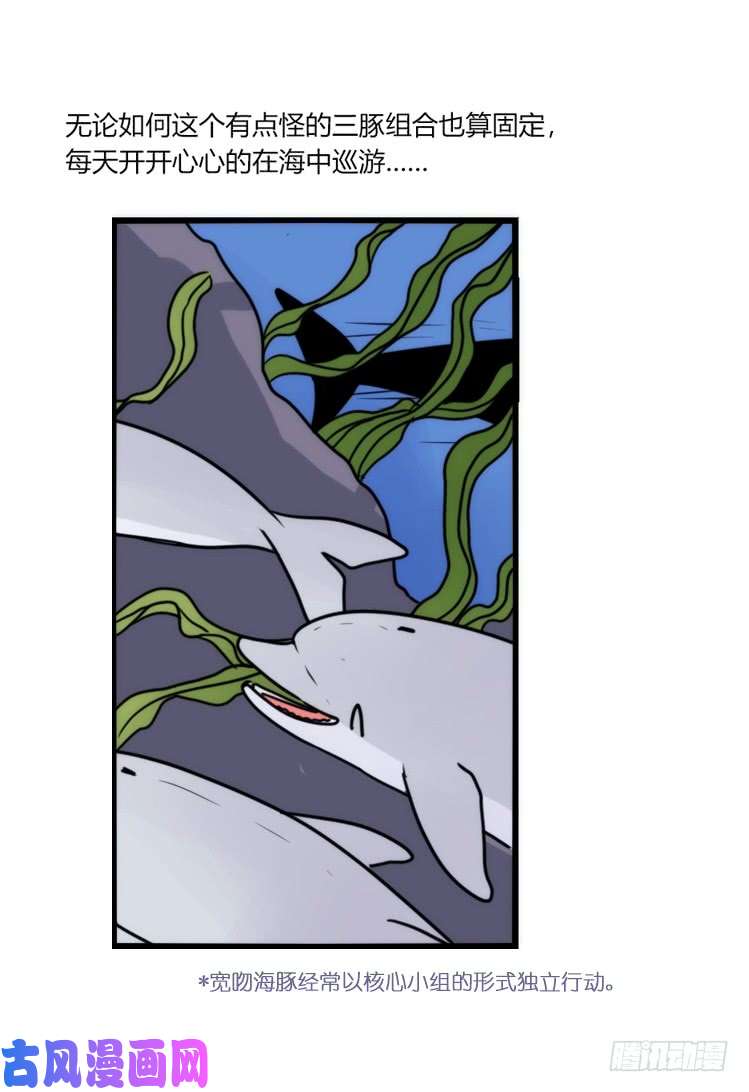 进化之基海洋精灵：重逢的正确姿♂势