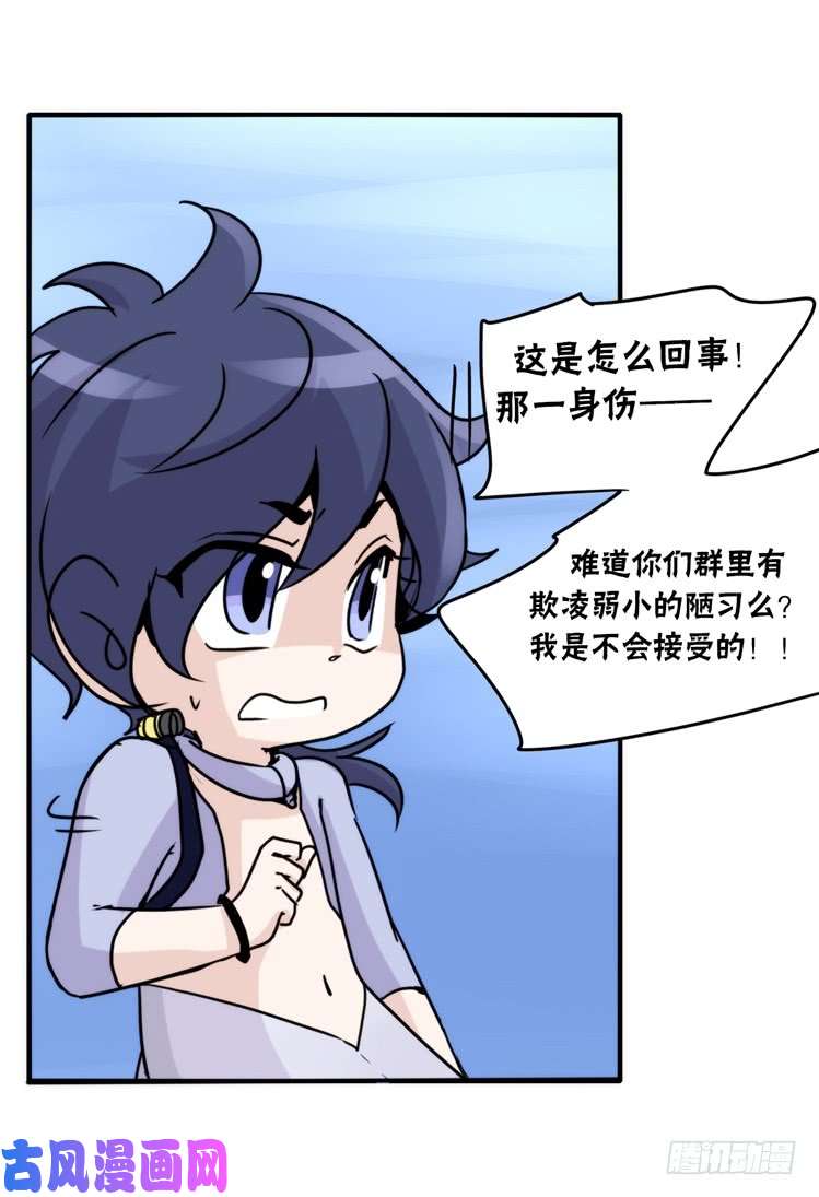 进化之基海洋精灵：反派BOSS……们？