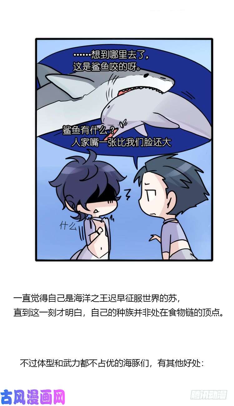 进化之基海洋精灵：反派BOSS……们？