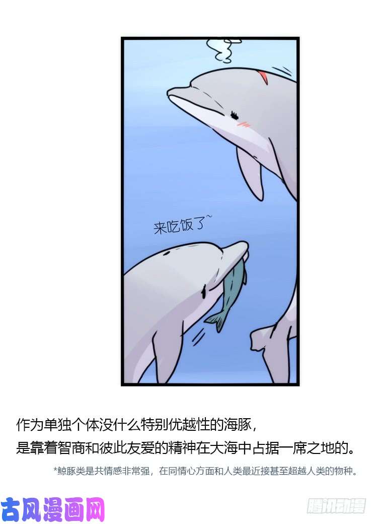 进化之基海洋精灵：反派BOSS……们？
