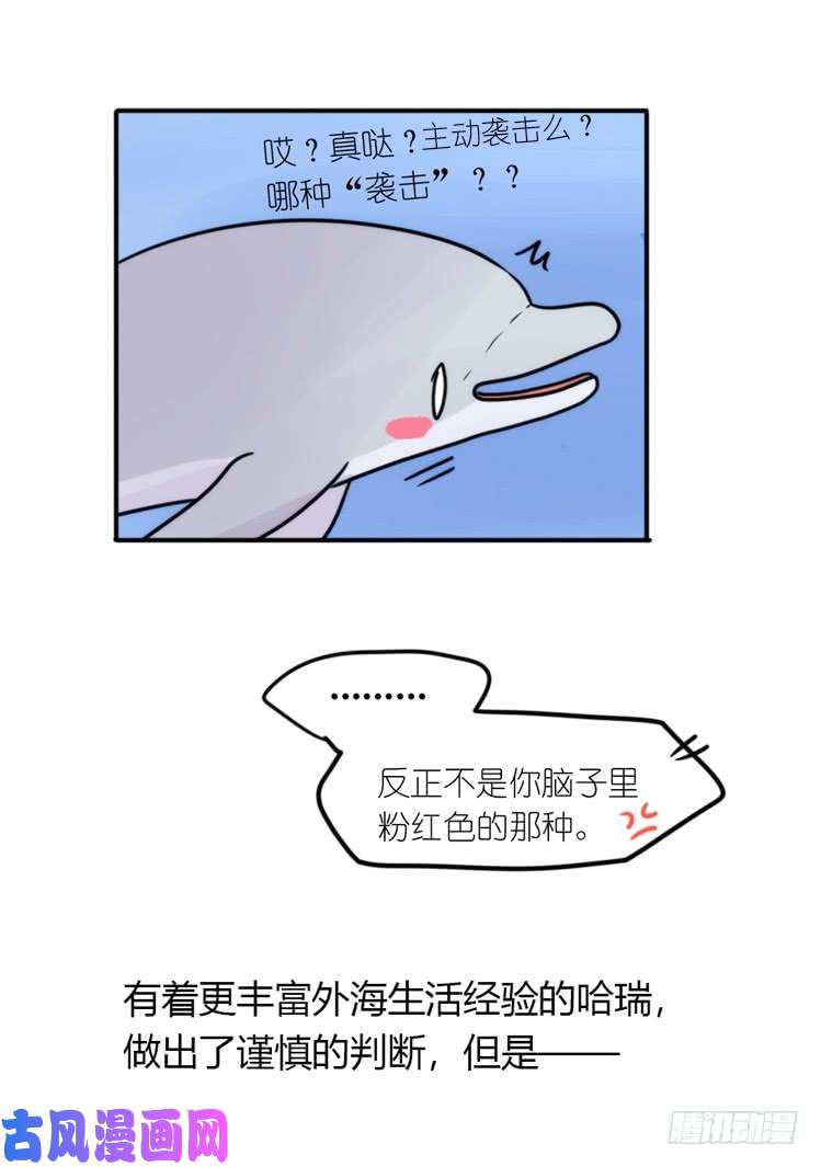 进化之基海洋精灵：反派BOSS……们？