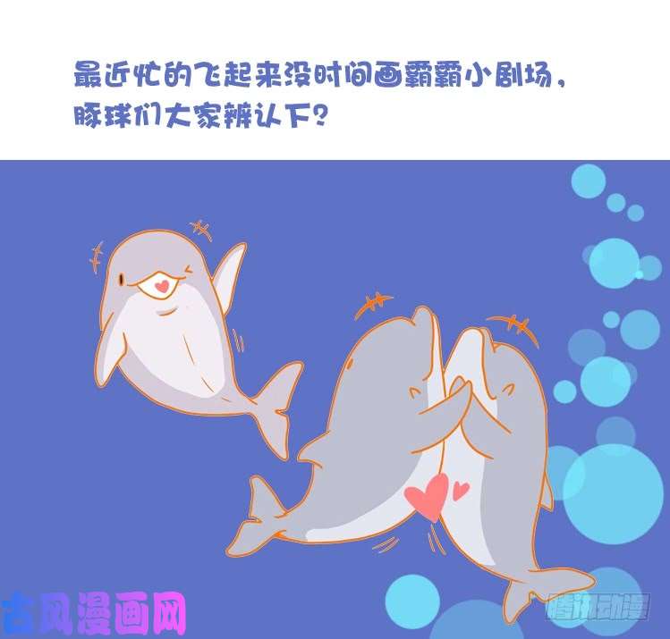 进化之基海洋精灵：反派BOSS……们？