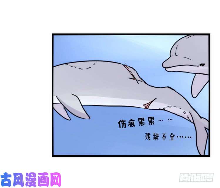 进化之基海洋精灵：反派BOSS……们？