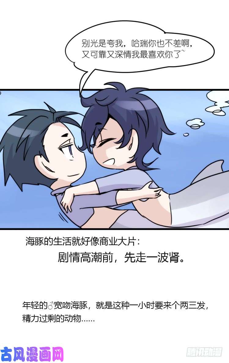 进化之基海洋精灵：大白鲨I-大片固定开头