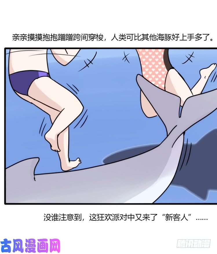 进化之基海洋精灵：大白鲨I-大片固定开头