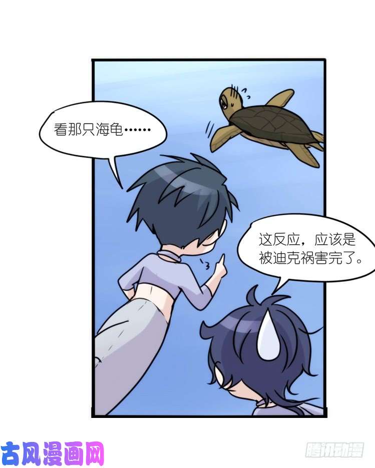 进化之基海洋精灵：大白鲨I-大片固定开头