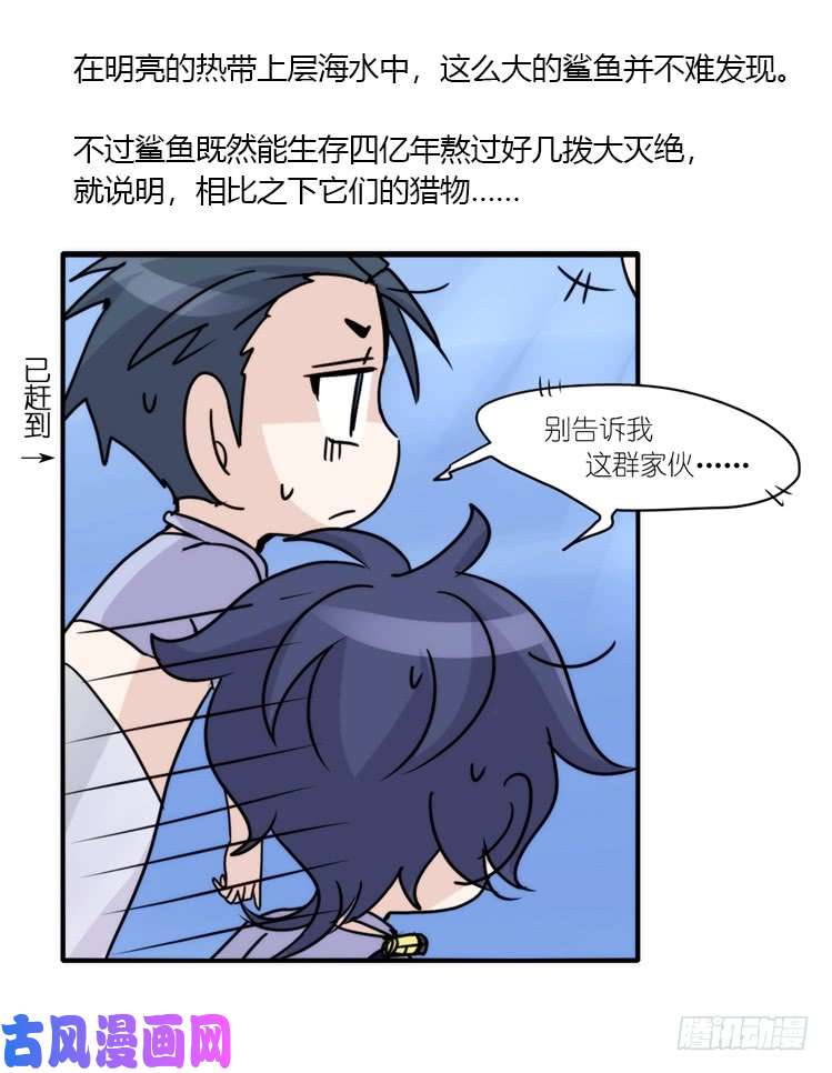 进化之基海洋精灵：大白鲨I-大片固定开头