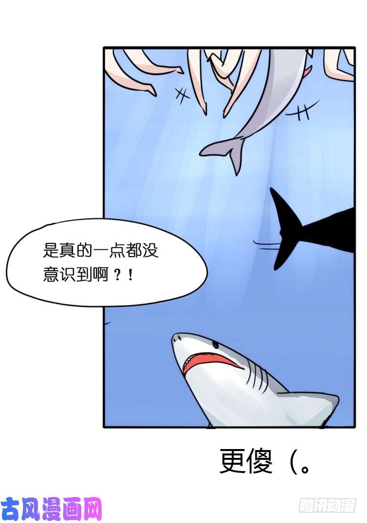 进化之基海洋精灵：大白鲨I-大片固定开头