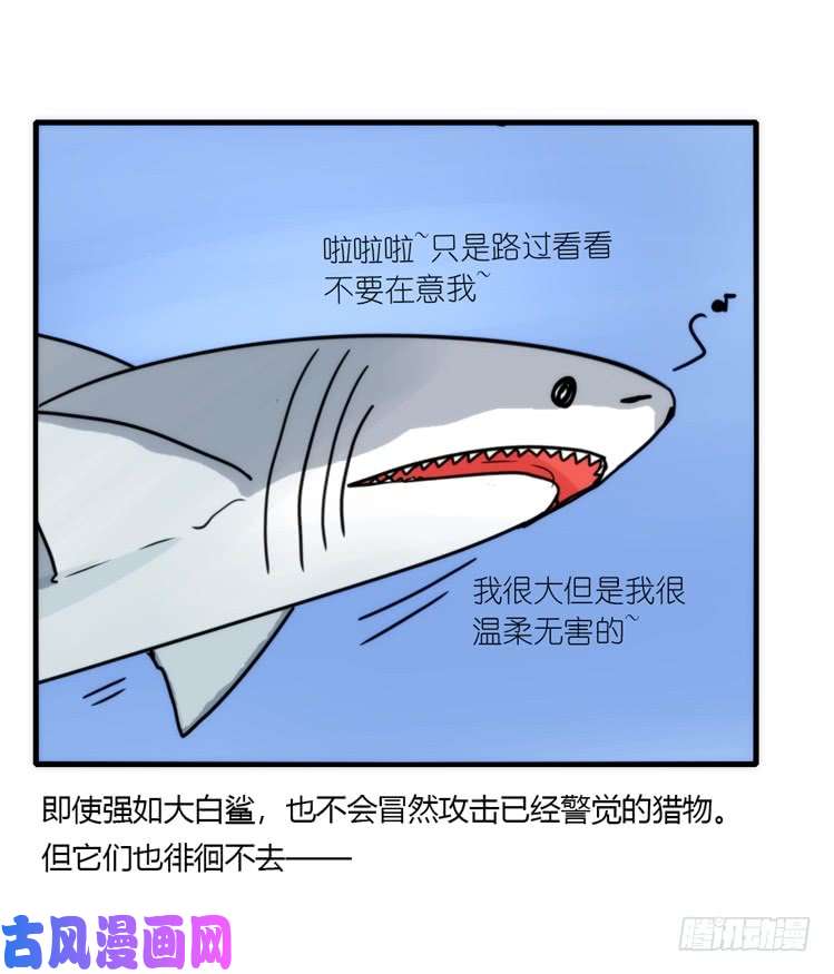 进化之基海洋精灵：大白鲨I-大片固定开头