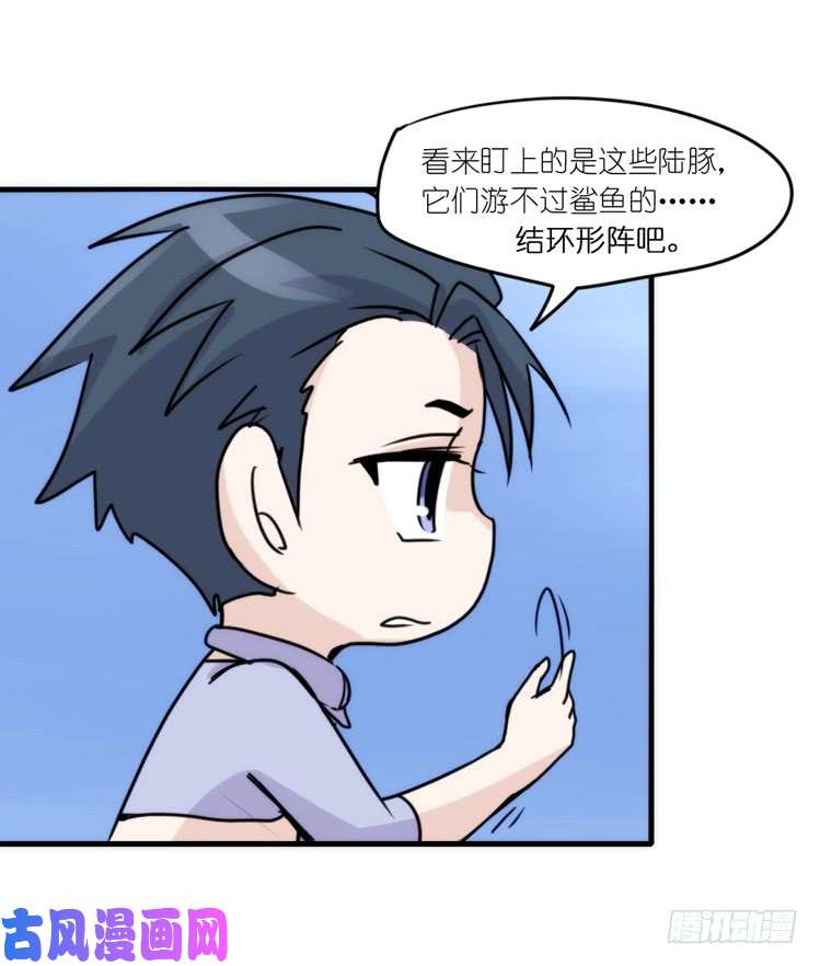 进化之基海洋精灵：大白鲨I-大片固定开头