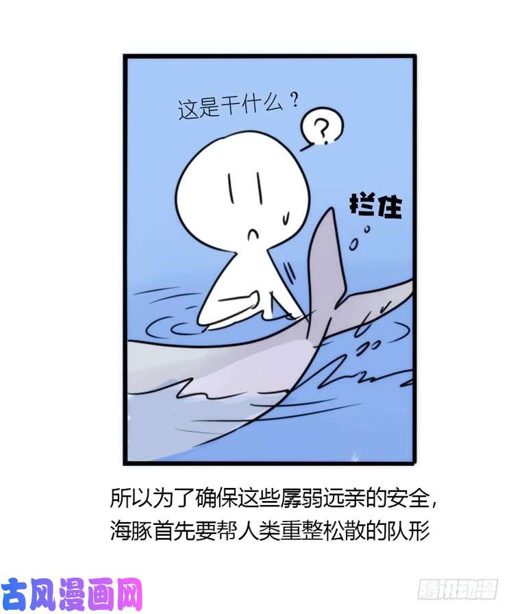 进化之基海洋精灵：大白鲨I-大片固定开头