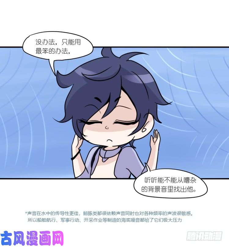 进化之基海洋精灵：大白鲨I-大片固定开头