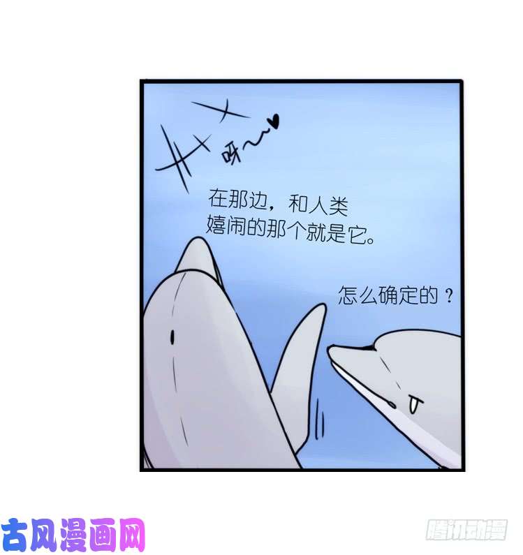 进化之基海洋精灵：大白鲨I-大片固定开头