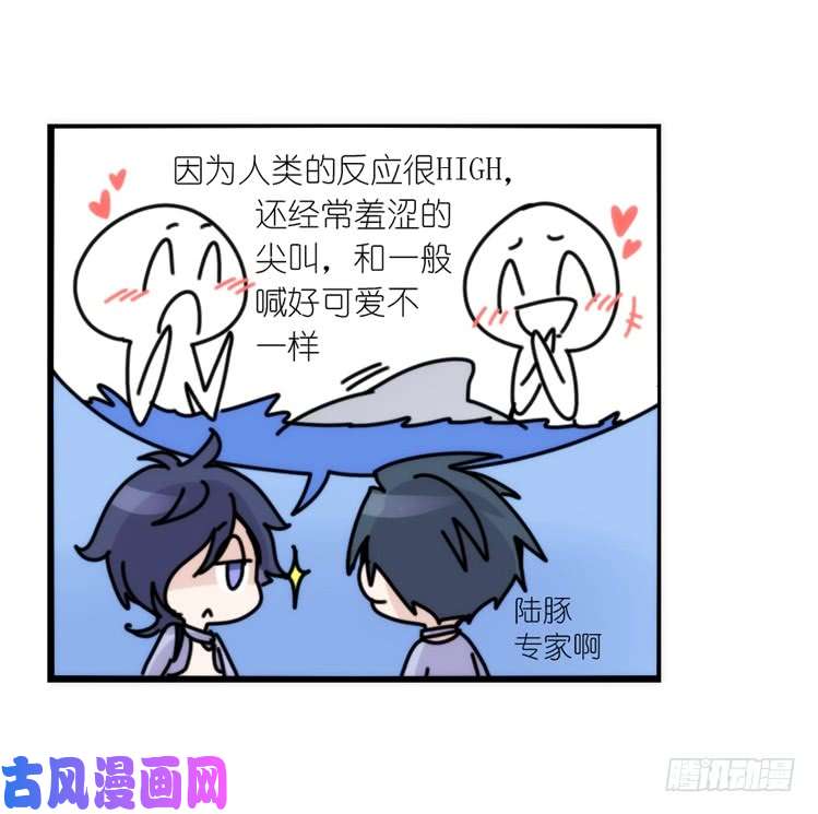 进化之基海洋精灵：大白鲨I-大片固定开头