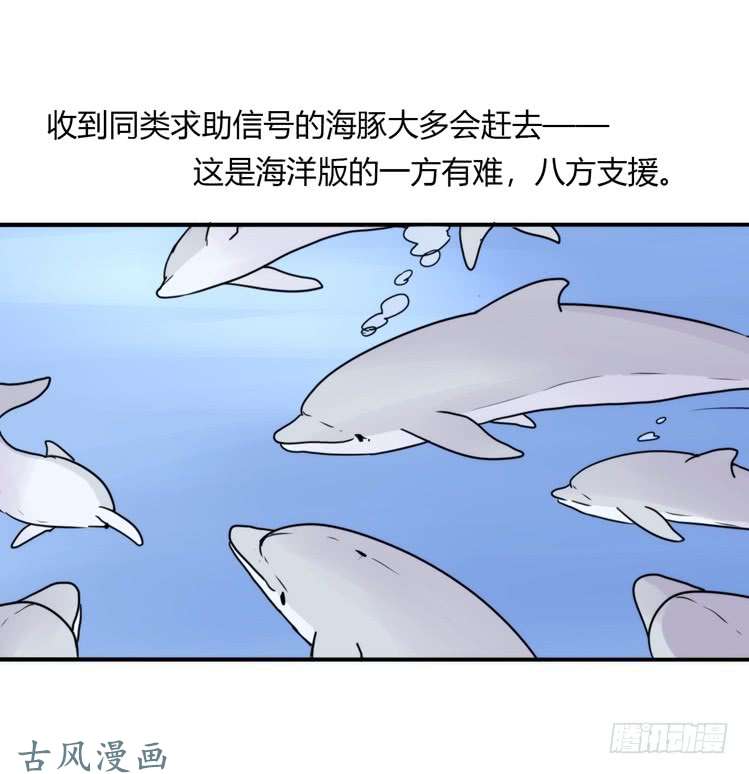 进化之基海洋精灵：大白鲨II-受害者是？