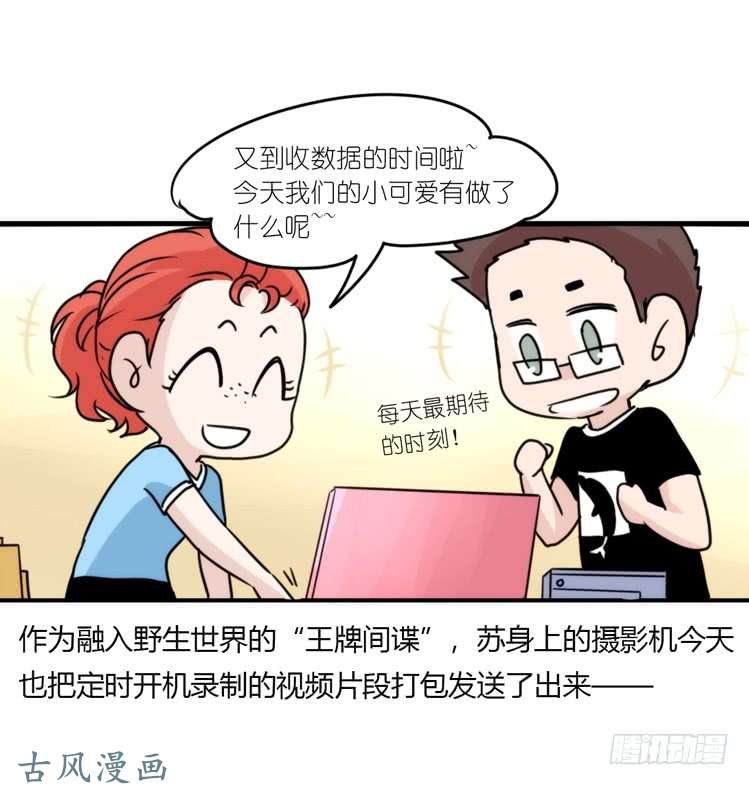 进化之基海洋精灵：大白鲨II-受害者是？