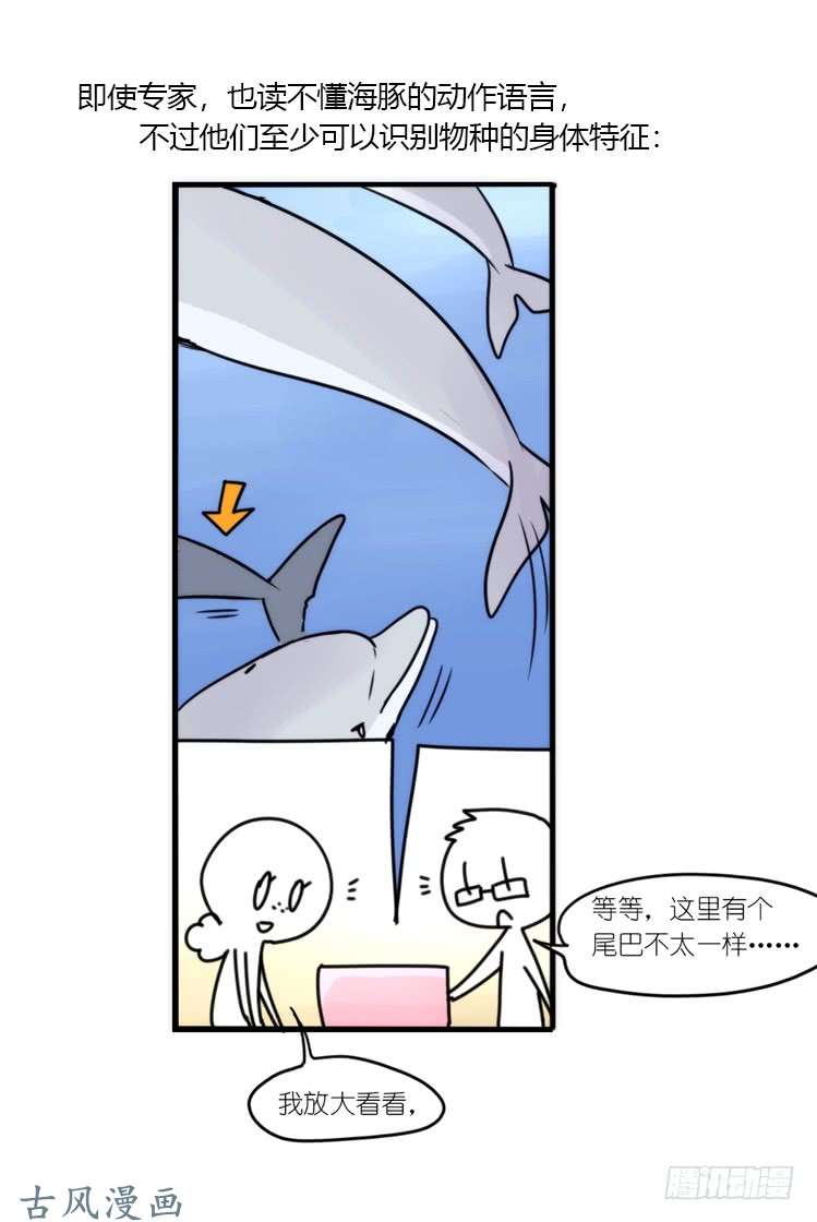 进化之基海洋精灵：大白鲨II-受害者是？