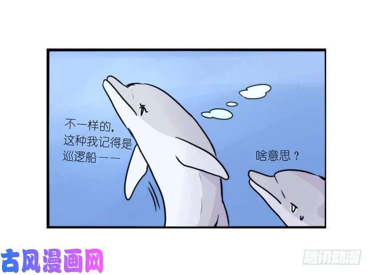 进化之基大白鲨III-一战成名