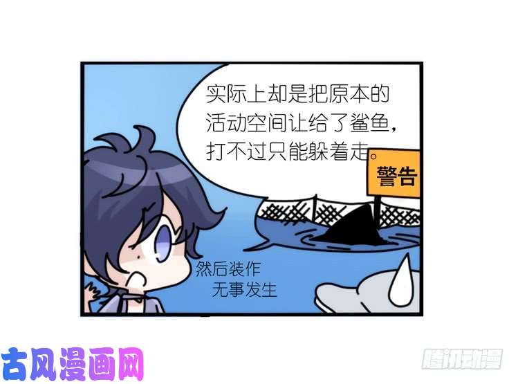 进化之基大白鲨III-一战成名