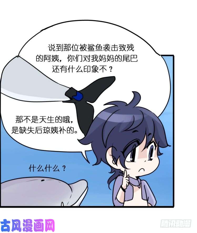 进化之基大白鲨III-一战成名