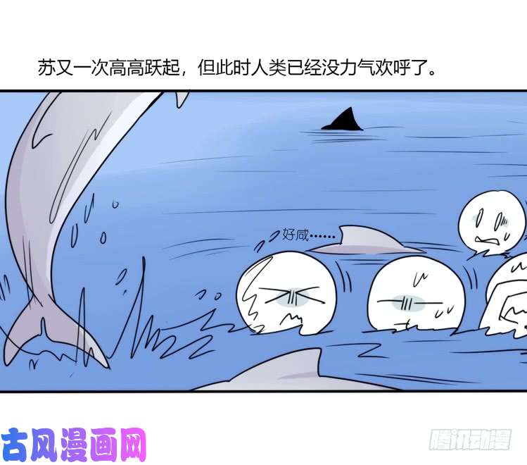 进化之基大白鲨III-一战成名