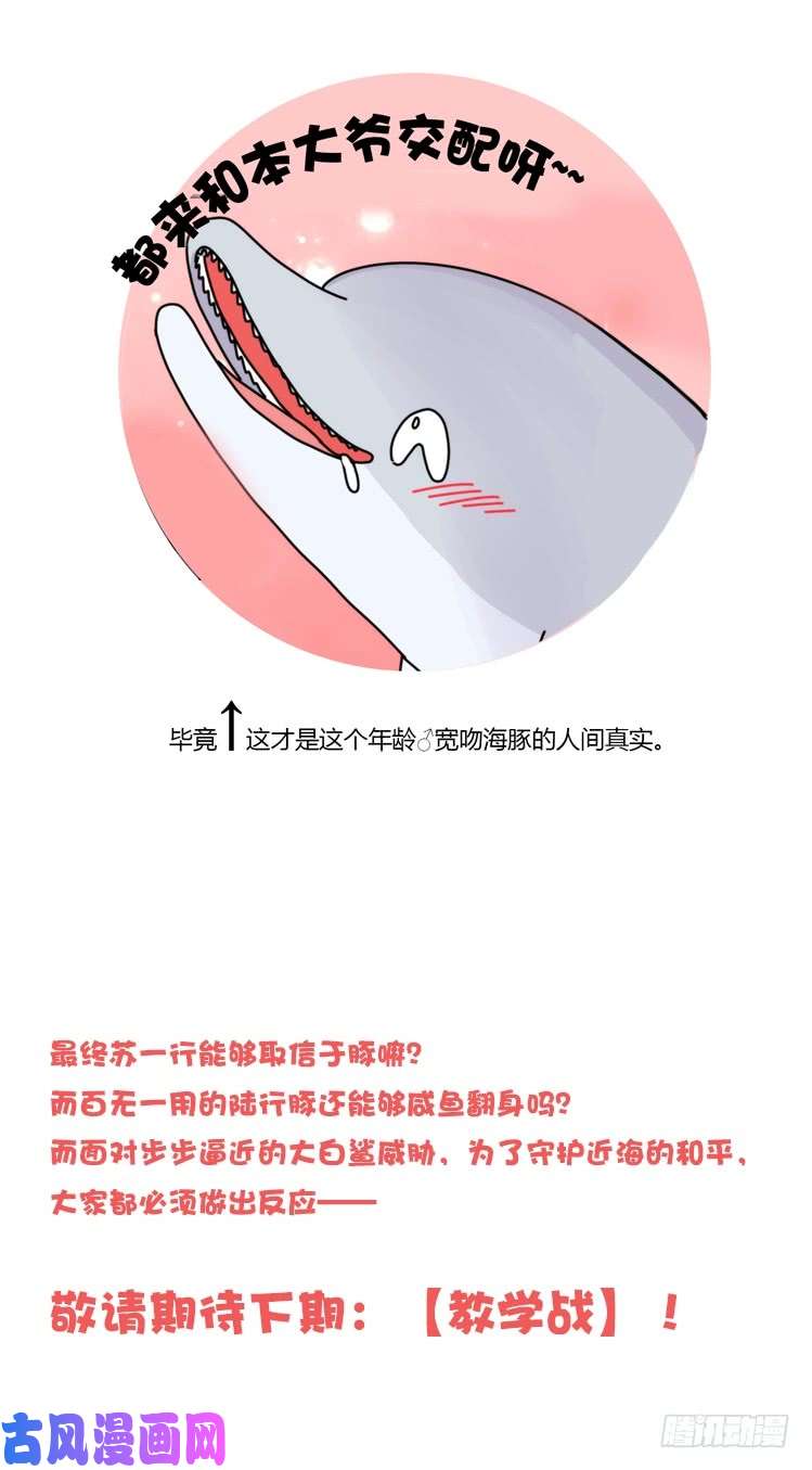 进化之基大白鲨III-一战成名