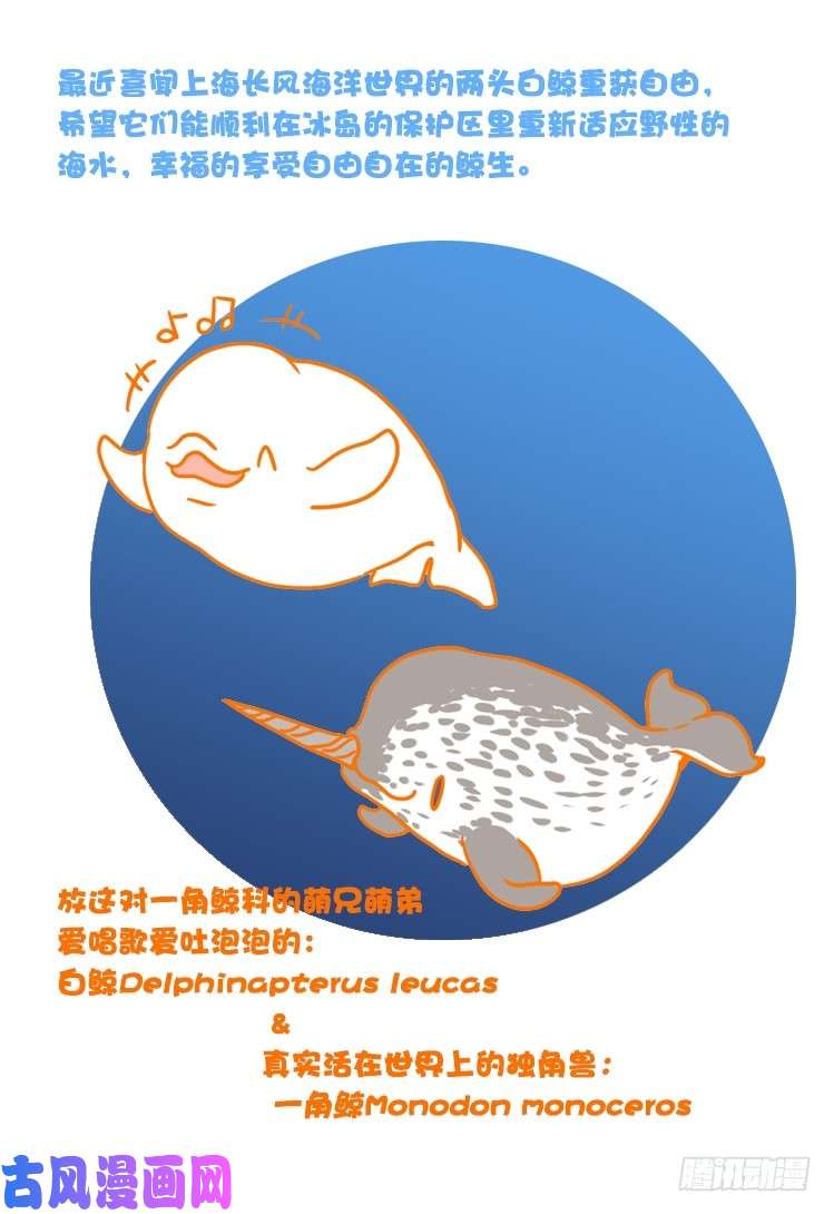 进化之基大白鲨III-一战成名