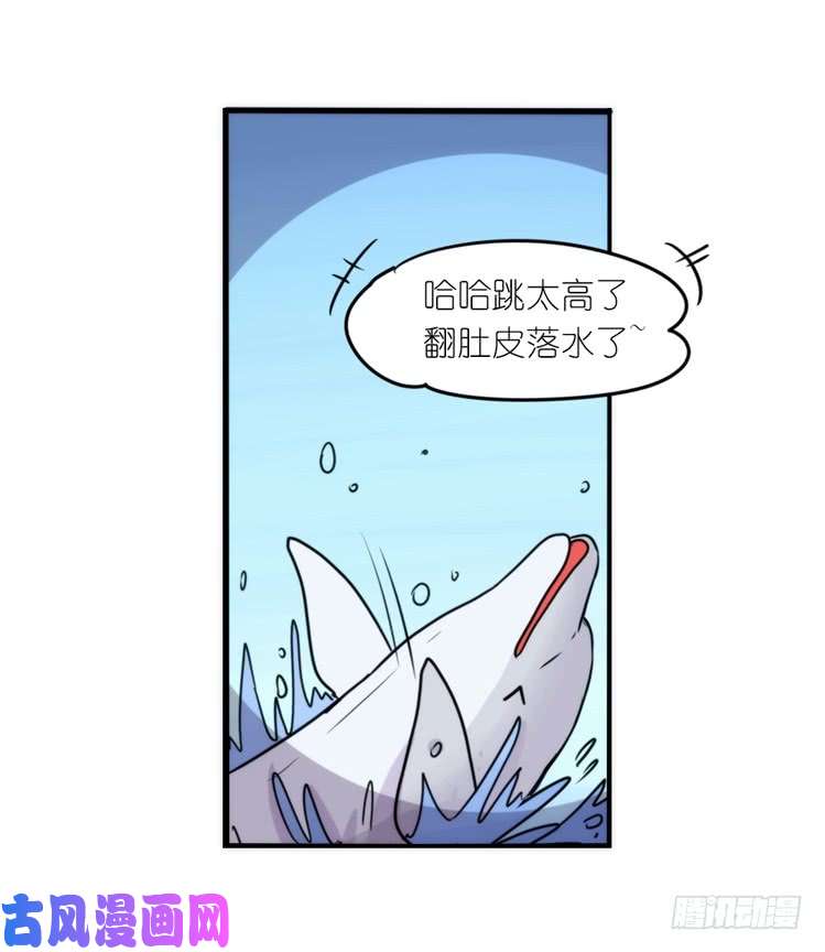 进化之基大白鲨III-一战成名
