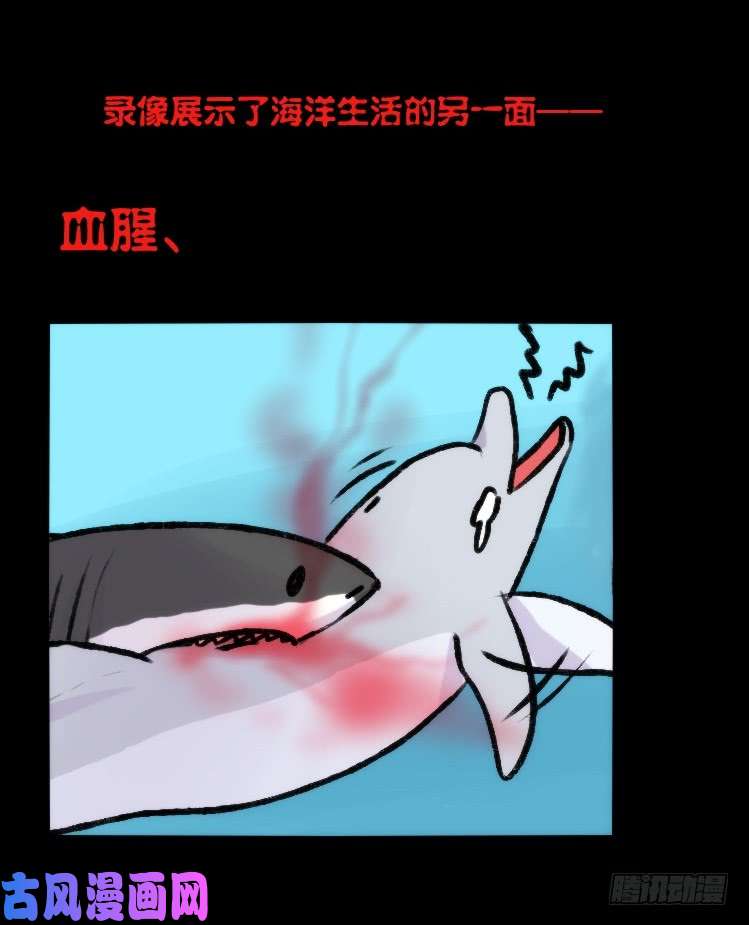 进化之基海洋精灵：大白鲨-反击战-上