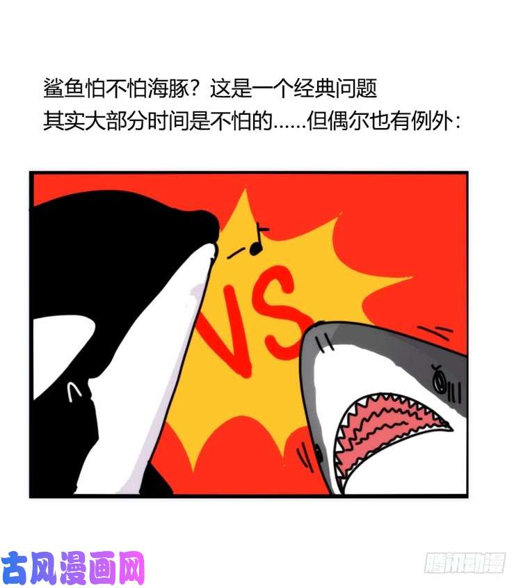 进化之基海洋精灵：大白鲨-反击战-上