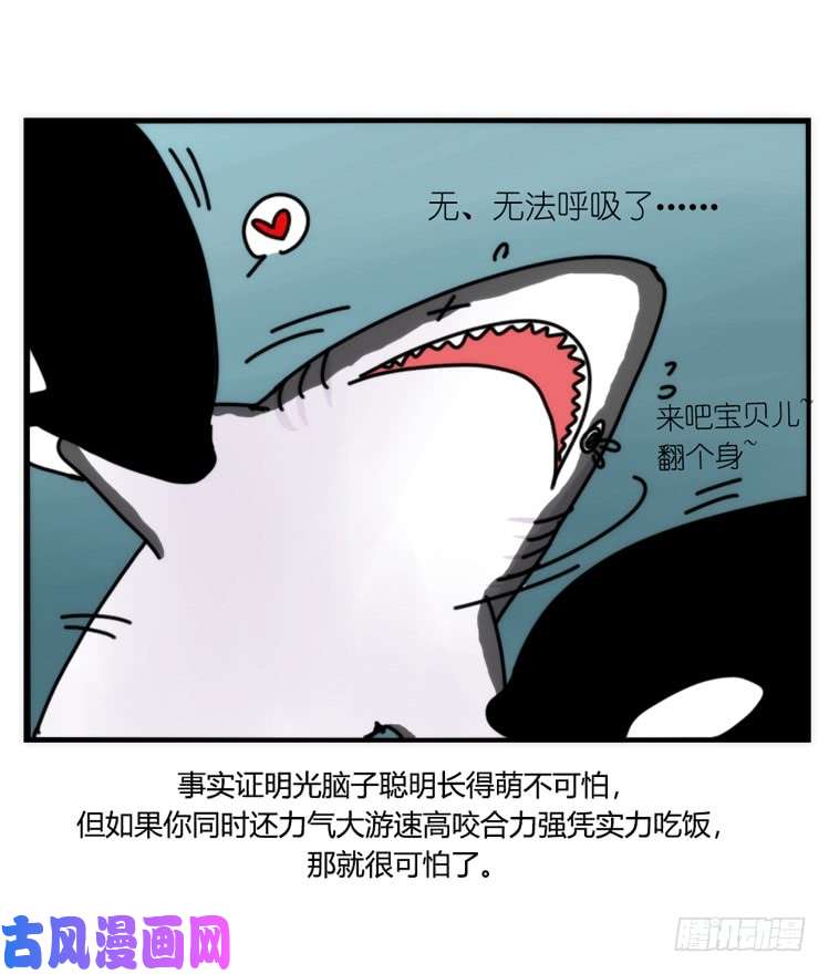 进化之基海洋精灵：大白鲨-反击战-上