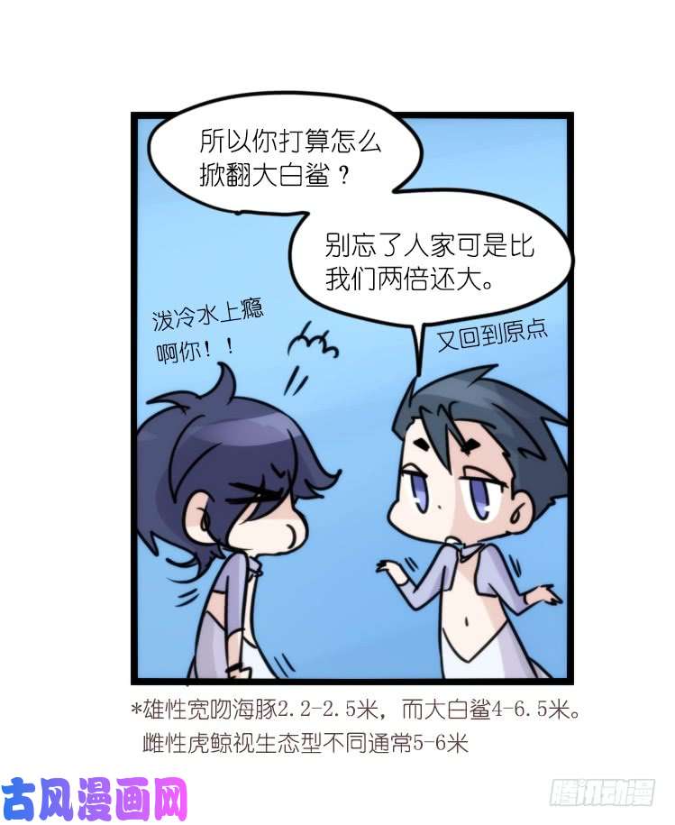 进化之基海洋精灵：大白鲨-反击战-上
