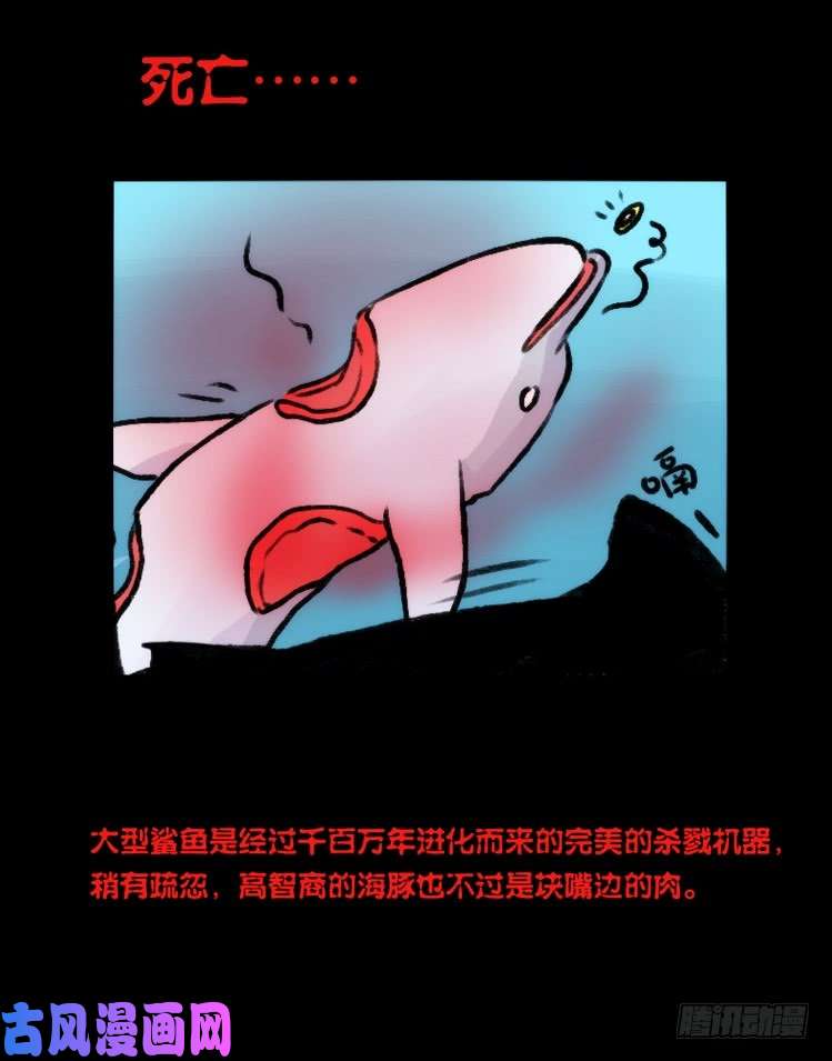 进化之基海洋精灵：大白鲨-反击战-上