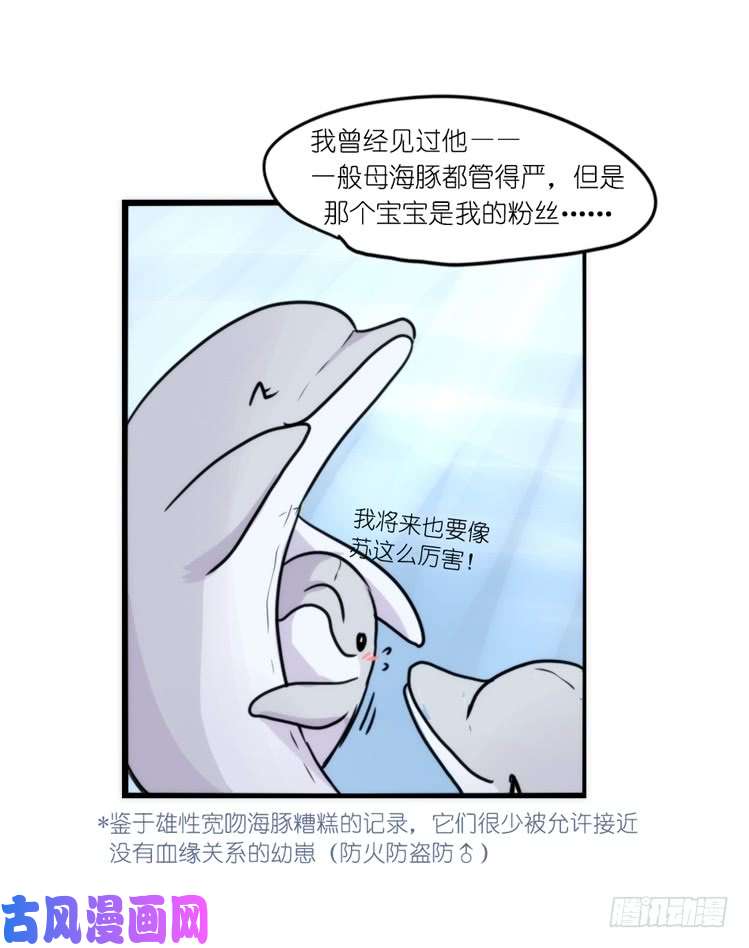 进化之基海洋精灵：大白鲨-反击战-上