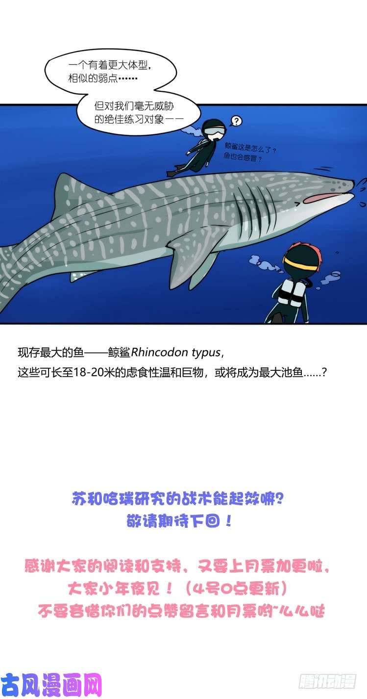 进化之基海洋精灵：大白鲨-反击战-上