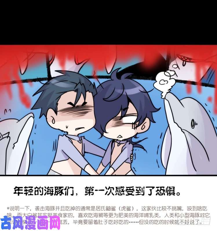 进化之基海洋精灵：大白鲨-反击战-上