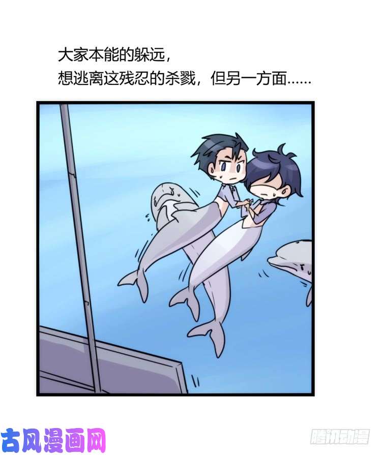 进化之基海洋精灵：大白鲨-反击战-上