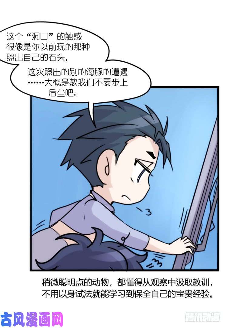 进化之基海洋精灵：大白鲨-反击战-上