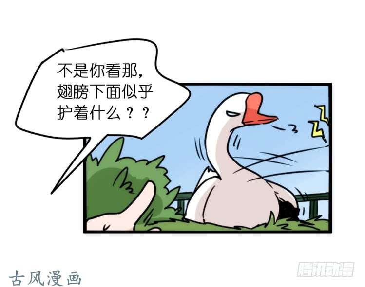 进化之基动协在行动01：鹅霸校园