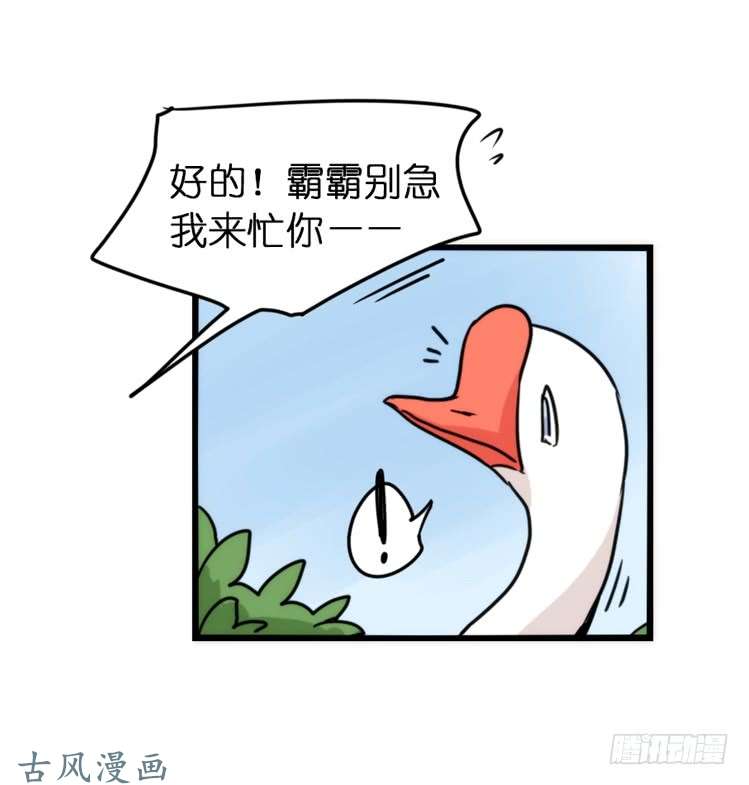 进化之基动协在行动01：鹅霸校园