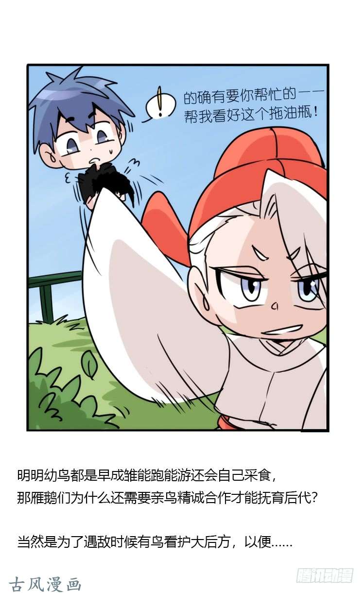 进化之基动协在行动01：鹅霸校园