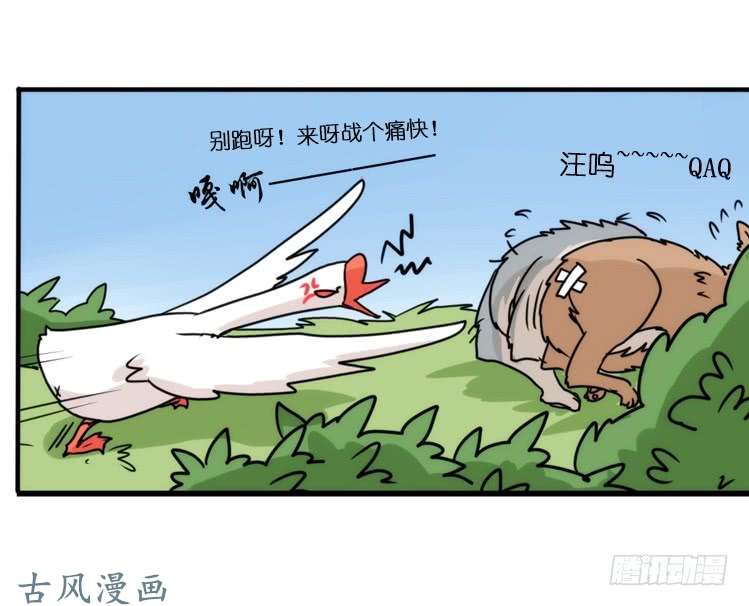 进化之基动协在行动01：鹅霸校园