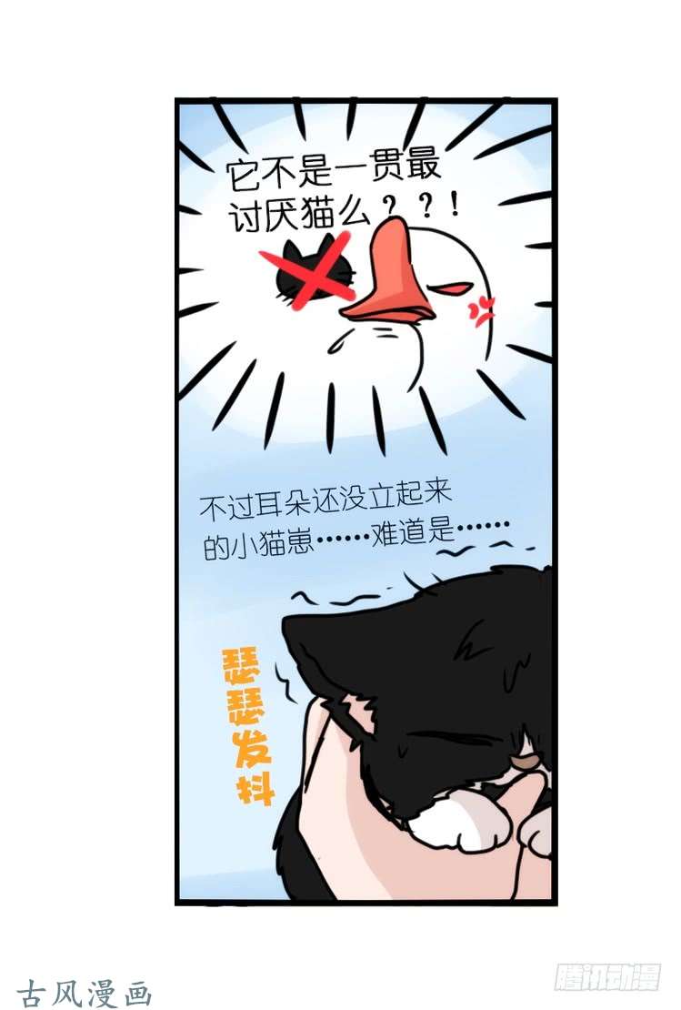 进化之基动协在行动01：鹅霸校园